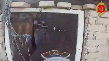 ���������� ������: ��������� ������ ����� ����������� ������ ����������� ������ ���������� ����� ���������� ���� ����������
