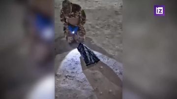 ��� ��������� ����� ���������� ����-���������� � ������ ����