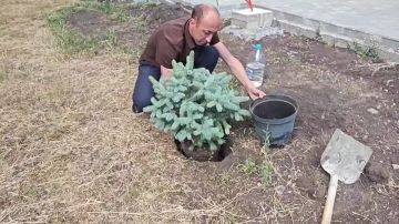 � ���������� � ������ �������������� � ��������-����� ������ ����� �� ���������� ����������� �������