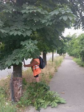 ������������� ������������� ������� � ���������� ���� �� ��������� �����������