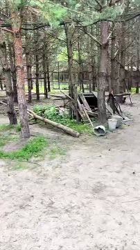 �������� ���� ������ ���� ���������