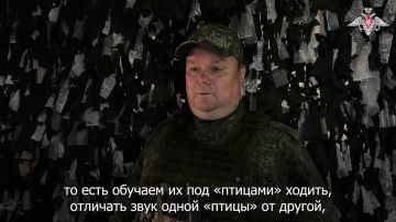 ����� �������� ������. ������������� ����������� ����� ������ �������� ����������� ���������