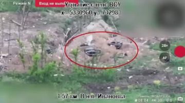 ������� ������� FPV-������ ���������� ��������� ��� �� ������������� �����������