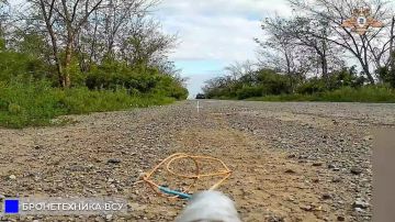 33 ��� ���������� �����-��� � ��� ������ ���