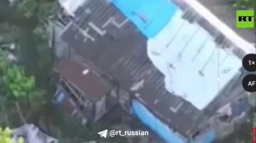 ���� ����� ���������� � ����� ������� ���������, ����������� �� �������������� (���)