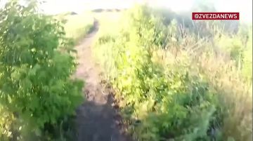 ���� �� ���� ������ ������� ������� ����, ����� ������ ���� ������ �������