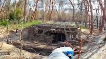 ������ �������: ��������� FPV-������ ����� ����������� ������ ����������� ����� ������ ���������� �������������� ������ ��� � ������ �������� ������