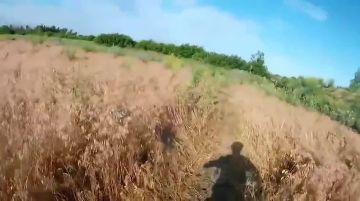 ���������� ���� ������ �� ���� ���� �����, ����� ������ ���� ������ �������