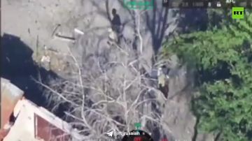 ��������� ���� �������� �����������, ������� �������� ��������� �� �������� ������ (���) � ��������� � �������