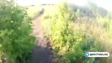 ���������� ������� ����� �� ���� ���������� ����-���������, ����� ������� ������ ������� �� ����������������� ����������