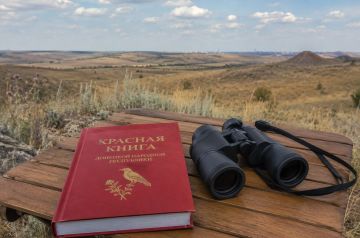 Разные виды — разные подходы: ИИ поможет спасти редких животных России