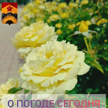 ������������� ������� � ������ � ���������� ������