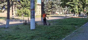 Денис Зубов: Работники МБУ «БИОН» продолжают работы по покосу травы по улице Шевченко