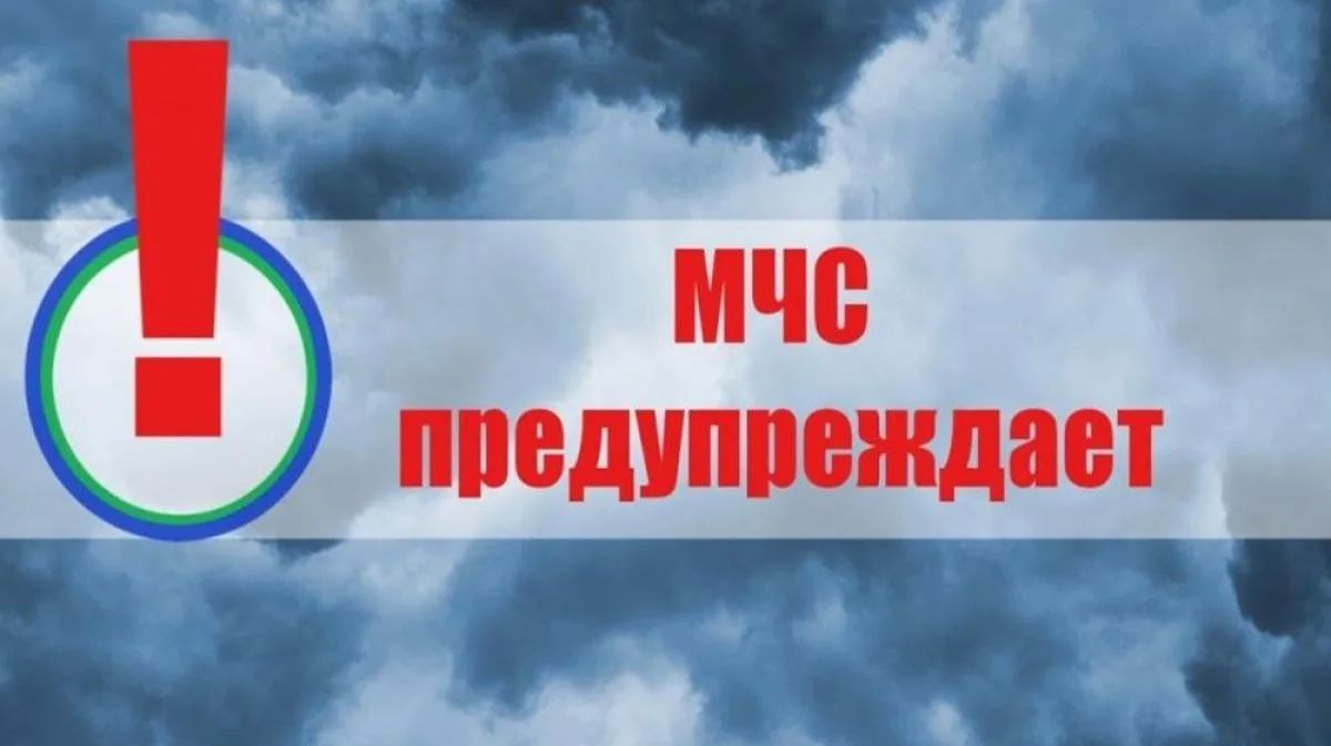 Высокая пожароопасность (4 класс) в северо-восточных, юго-восточных и юго-западных районах ДНР ожидается 2 и 3 июля