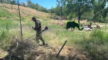 ����������� ���������� ��������� ��������� ��������� � ��������������� ������!