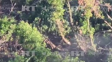 ���� ���� ����� ���������: ���������� ���� �� ���� ��������� ���������� ����