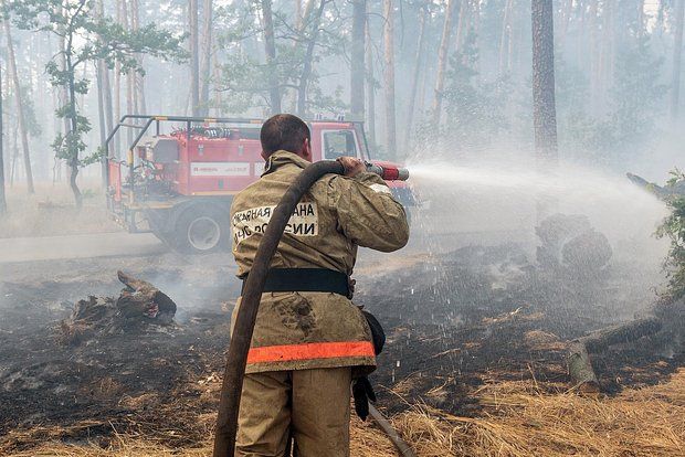 Синоптик Макарова: В 15 регионах России ожидается высокая опасность пожаров