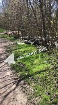 Центр Ворошиловского района Донецка зарос нескончаемой помойкой