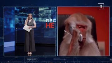 Разбор очередных фейков. Блокировка сотового оператора «Феникс» ,талоны на бензин для избранных и не устройство на работу без приложения Макс Доверяйте проверенной информации от официальных источников Подписаться