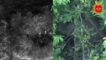 ���������� ������: 00:00 ��������� ������� ���� ����������� ������ ���������� ������� ������ � ������ ������ ��� � ����������� �������