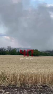 ������ �������� ����� �����