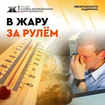 Синоптики передают, что июль принесёт в Донецкую Народную Республику сильную жару — готовимся!