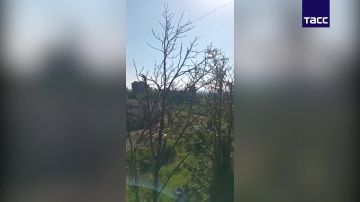 ���������� �� ��, ������������� �������������� ���, �������� ����� � ������