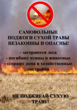 ��� ���� ��� ������ ��ѻ ����������: