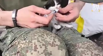 ������ ����� ����� ���� ������ FPV-������ � ���