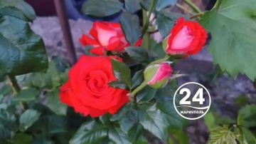 � ���� �����, ����� � ��������! ����� � ����� ���� ������ ����� �����, ��� � ���������������
