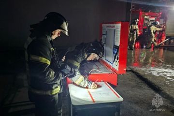 МЧС за сутки ликвидировано 44 пожара, в том числе 22 - ландшафтных