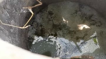 ����������� ������ �� ���������������� �������������� ������ �� 07-08.07.2026