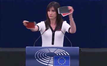 Европарламент принял резолюцию с осуждением Зеленского за чествование «героев УПА*»