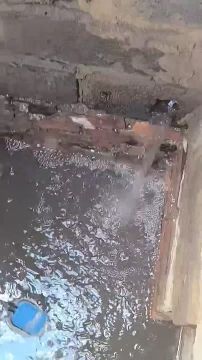 � �������� �� ����������� ����� ������� ����