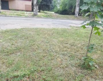 С целью приведения территории в надлежащее санитарное состояние сотрудниками Государственного бюджетного профессионального образовательного учреждения «Макеевский транспортно-технологический колледж» проведены работы по...
