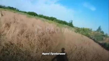 ���������� ���� ��� ����� �����. � ��� ������ ������� � ���� �� �����������. �������, ��� ����� ����������� ����� ������ �����, � ������ ������� ���������� � ���������� ������, ������� ����� ������� ������ �� ����...