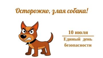 Каждое 10 число месяца на территории городского округа Дебальцево в рамках Всероссийской акции «Безопасность детства» и регионального проекта «Территория безопасного детства» проходит ежемесячная акция «Единый день...
