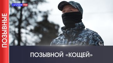 �������� | ������. ��������� � ����� �������������� ������� ���������� ������ � ��������������