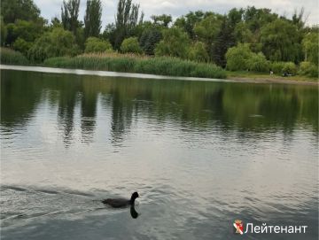 Игорь Мартынов: Доброе утро, любимый город!