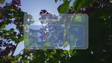 ������ ����!. ������� 11 ����, � ���������� ��������� ���������� ����������