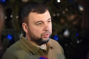 Глава ДНР Пушилин назвал повреждения в Константиновке очень серьезными