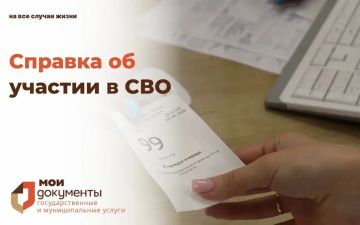 Получите справку об участии в специальной военной операции через МФЦ