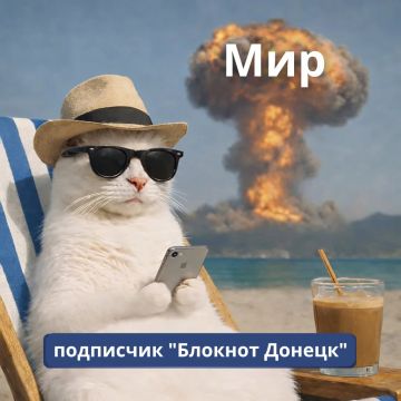 ���� �� �������� VPN � ������, �������������� �� ���� ��������� ��������: