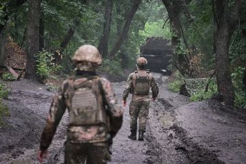 Депутат Колесник: Со взятием Доброполья будет прорвана оборона ВСУ