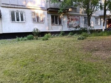 � ���������� ������ ������������ ������ �� ���������������
