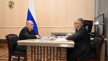 Встреча Михаила Мишустина с председателем правления государственной компании «Автодор» Вячеславом Петушенко