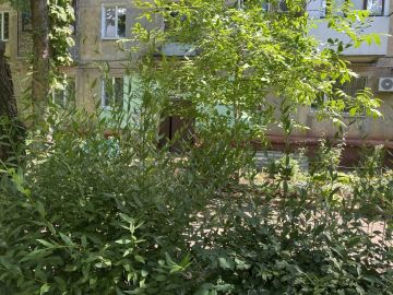 В Центрально-Городском районе продолжается акция «Добрые дела»
