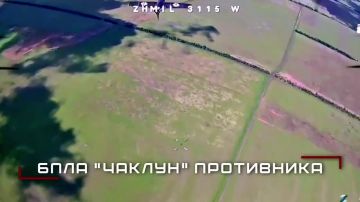 ����������� ����� ������ ������� � ������ ����� � ���� �� ����������, ����������� � � ���������������� �������