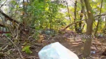 ������ �������: ��������� ���� ������������� ����� ����������� ������ ������ ����������� ����� ���������� ������ ���������� ������� ��� � ���������-��������� � ������������