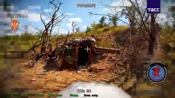 ����� ������������� ��� "�������" ������������� ������ ������������ ������, ����� � ������������ � ����� ���������� ���� ��� � �������������� ���, �������� � �����-������ ������������� ����